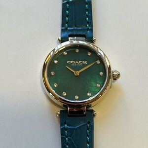 Coach Park Watch With 26mm Bottle Green Perl Face & Bottle Green Leather Band
